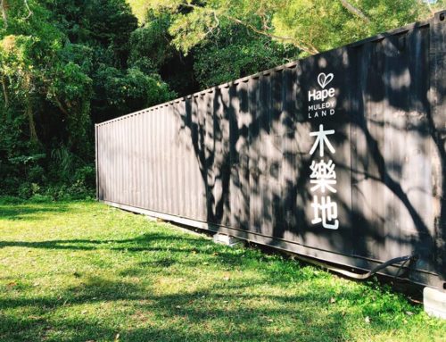 廢棄貨櫃屋打造的遊戲露營空間－Joyland野餐露營